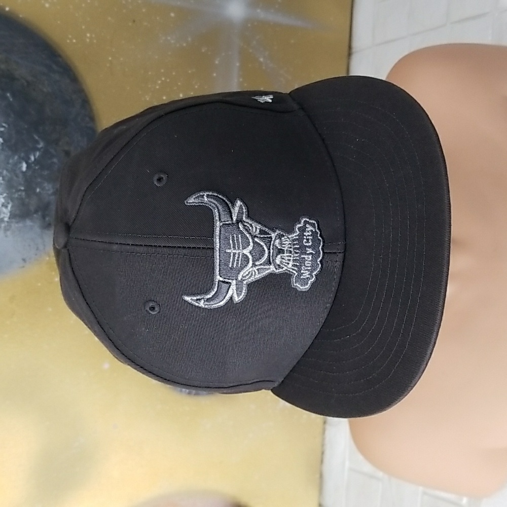 Chicago Bulls "Windy City" Hat